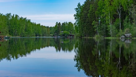 Summer Lake Landscape